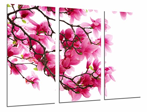 Cuadro fotográfico Fondo blanco con flores rosas en la naturaleza, almendra Tamaño total: 97 x 62 cm XXL, multicolor