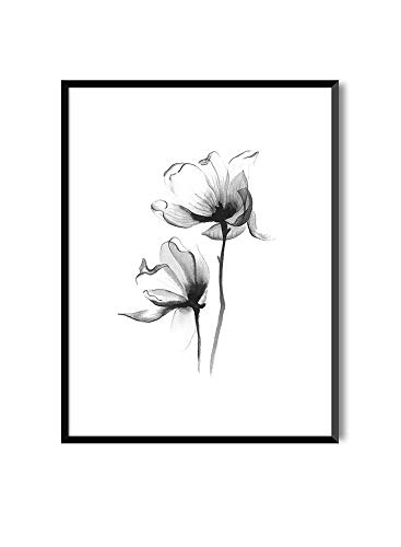 Hojas para enmarcar imágenes en estilo elegante MILUKA |  Póster con plantas en estilo acuarela |  magnolias |  Varios tamaños (30 x 40 cm)