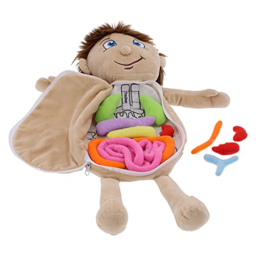 Zerodis Muñeca de órganos del cuerpo humano, muñeca de aprendizaje de anatomía, juguete cognitivo educativo fisiológico, material didáctico preescolar para bebés, niños y niñas (órganos del cuerpo)