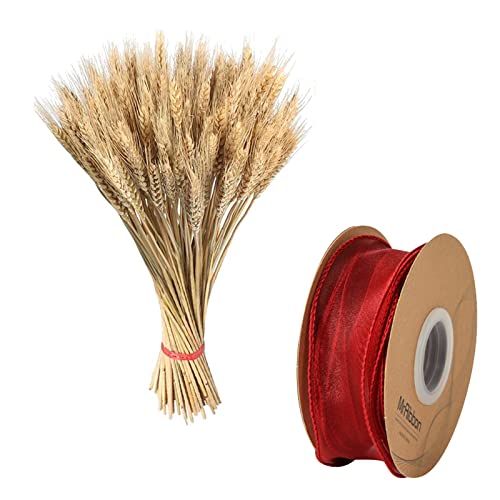 BLLOTO Flor de tallo de trigo seco, ramo de espigas de trigo seco natural, ramo de trigo de otoño, decoración del hogar